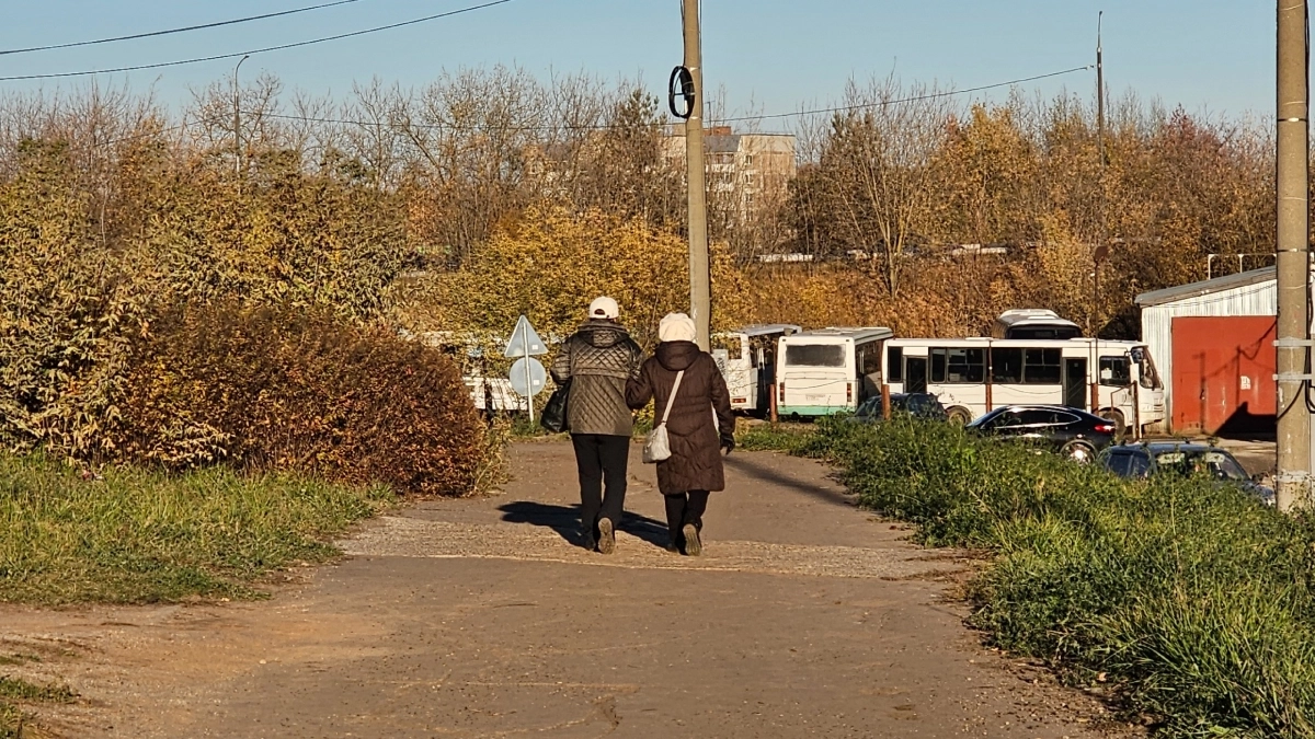 Синоптики рассказали, какой будет погода в Кировской области 20 октября