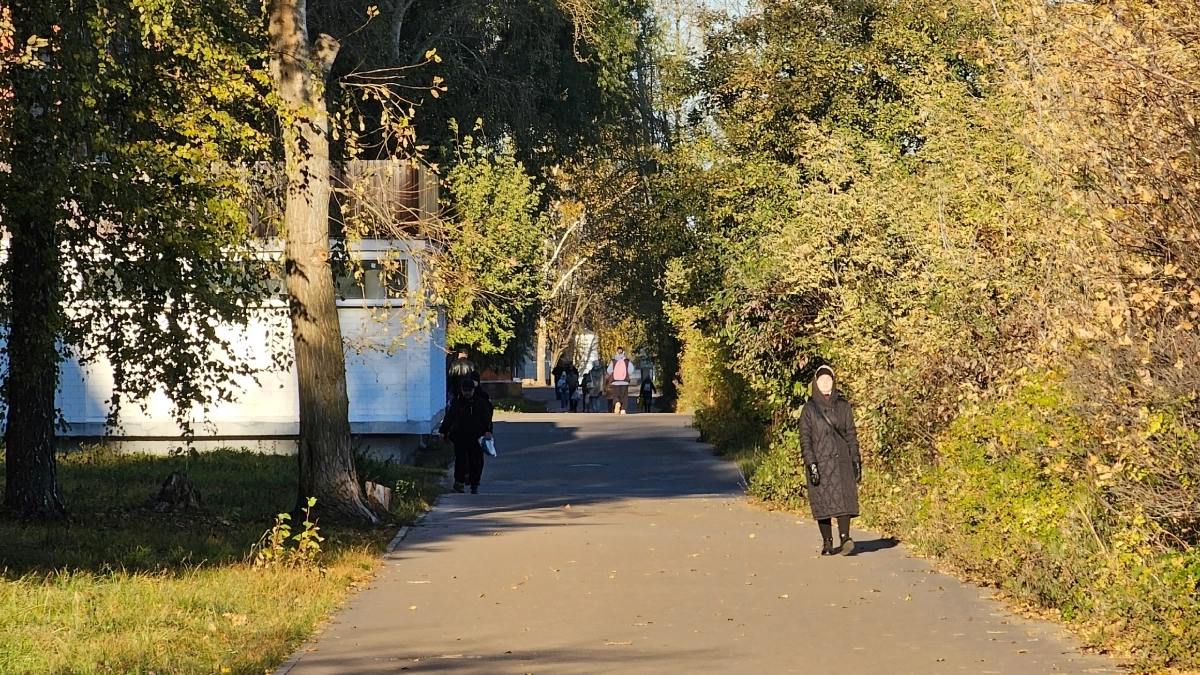 Метеорологи рассказали, каким будет начало ноября в Кировской области