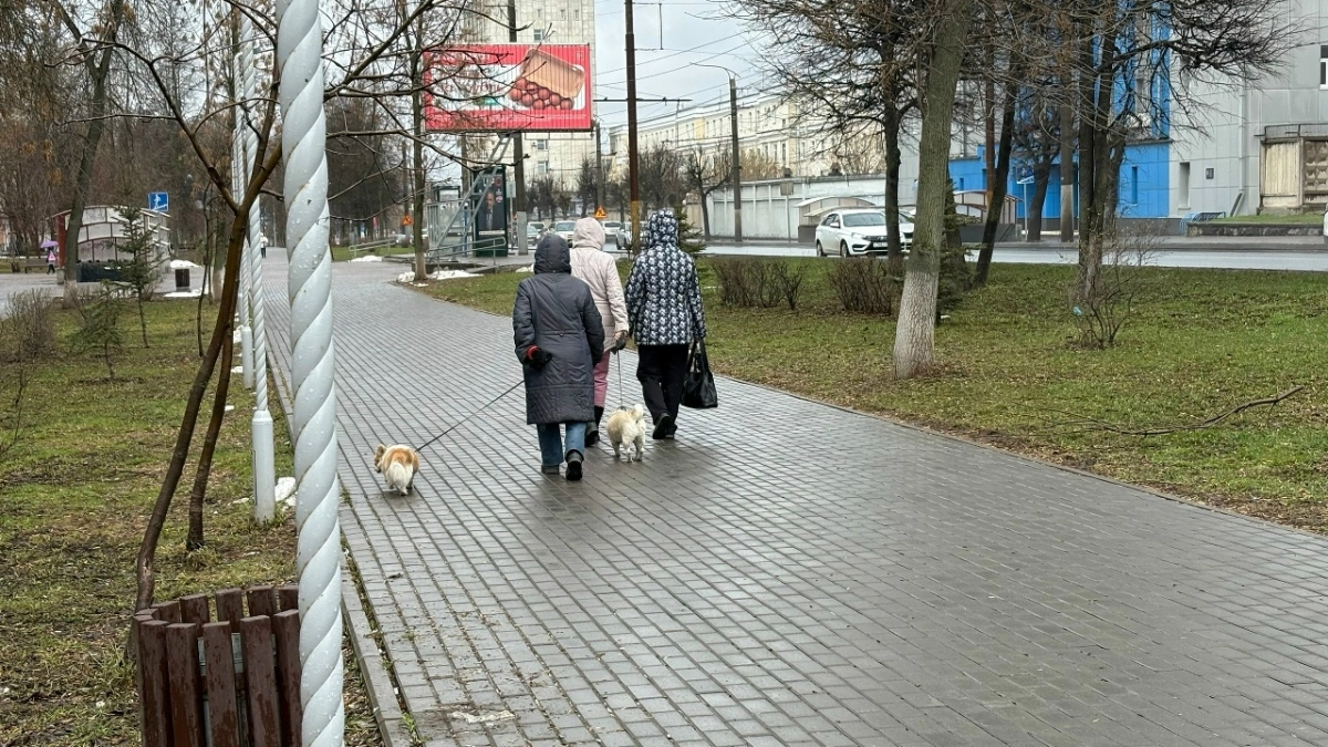 Холодно и пасмурно: какой будет погода в Кирово-Чепецке 24 октября