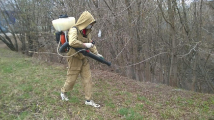 Мэрия Кирово-Чепецка ищет компанию, готовую спасти город от нашествия кровососов