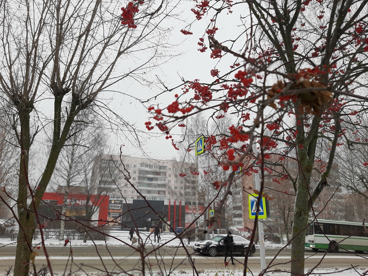 Морозы отступают: известен прогноз погоды в Чепецке  13 по 19 декабря