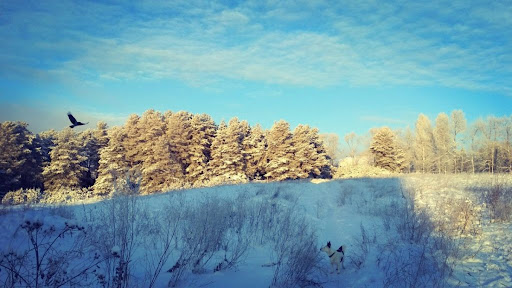 Синоптики рассказали о погоде в Кирово-Чепецке на 4 января