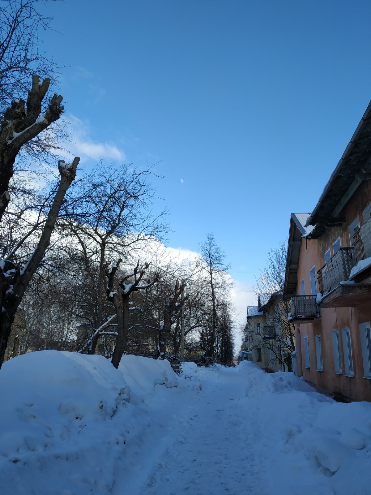 Прогноз погоды на новую рабочую неделю: морозы уходят из Кирово-Чепецка