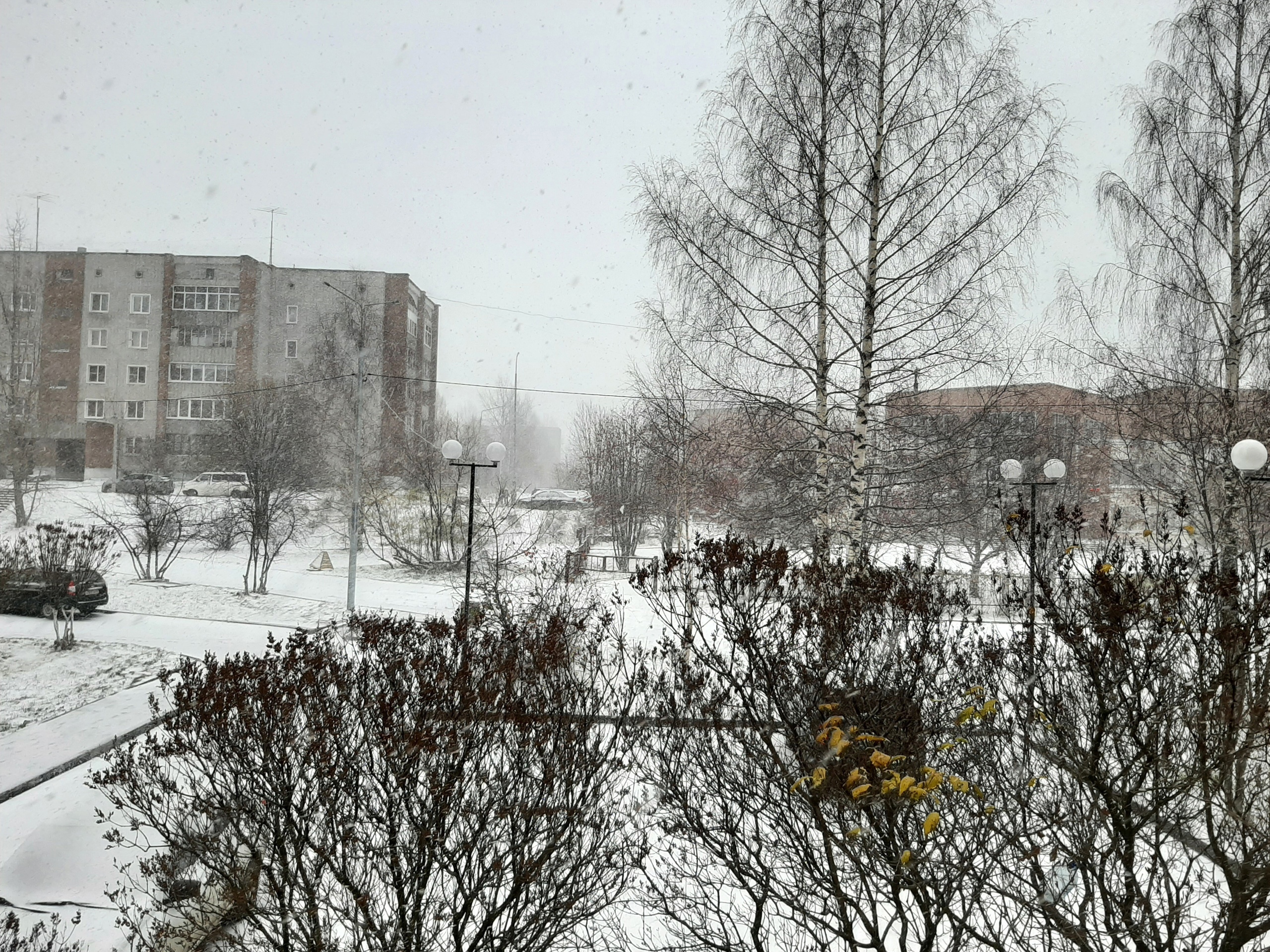 В Кирово-Чепецке ожидаются 13-градусные морозы