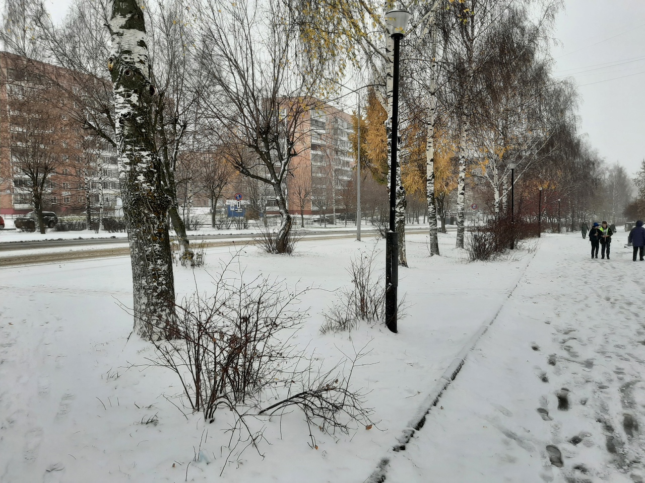 В Кирово-Чепецке снег украсил улицы: фоторепортаж после первой метели