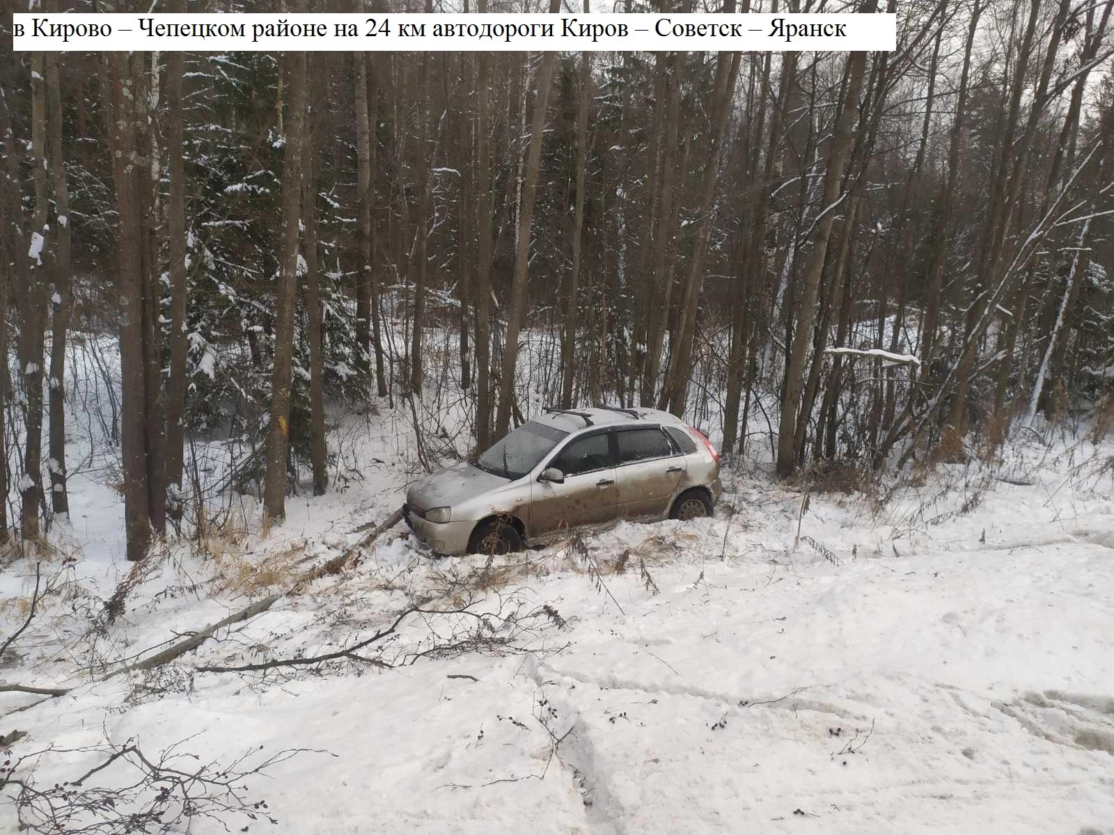 В Чепецком районе мужчина на авто въехал в дерево 