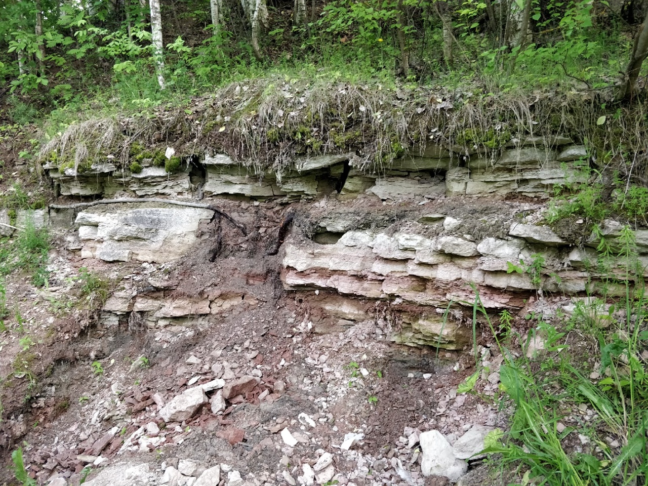 После звероящера палеонтологи ищут остатки обитателей пермского периода в Чепецке