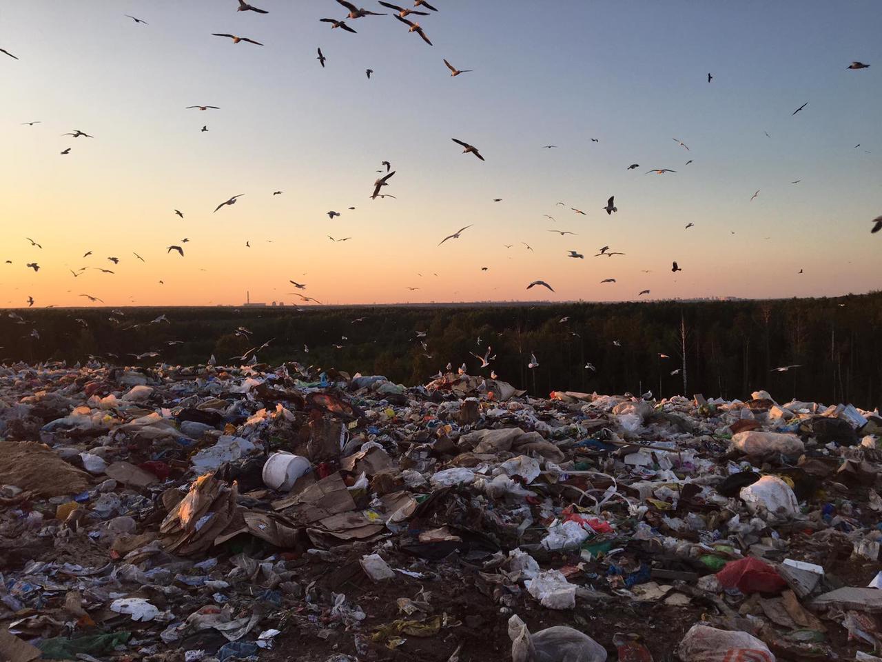 В Кировской области загорелся мусорный полигон