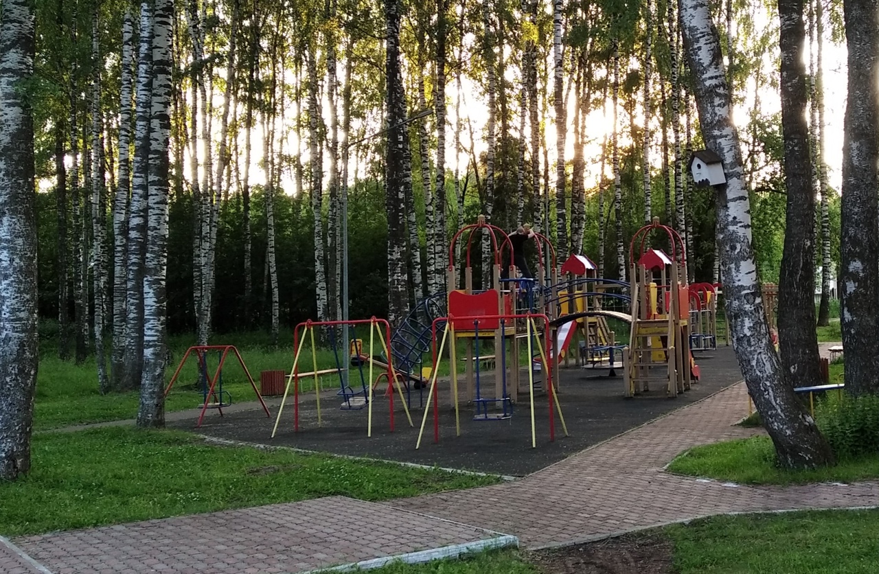 В Кировской области женщина потеряла шестилетнего сына