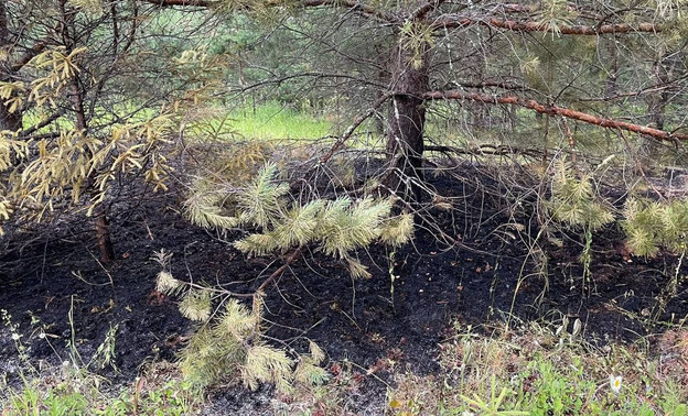Из-за сильной грозы в Кировской области произошло 6 пожаров за один день
