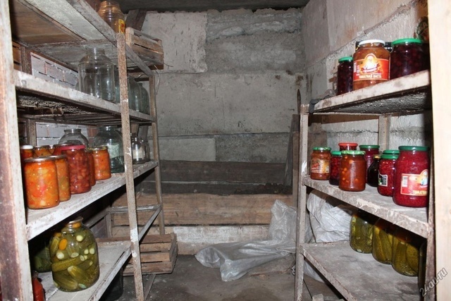 "Овощи ценою в жизнь": три жителя Кировской области погибли при подготовке ям хранения