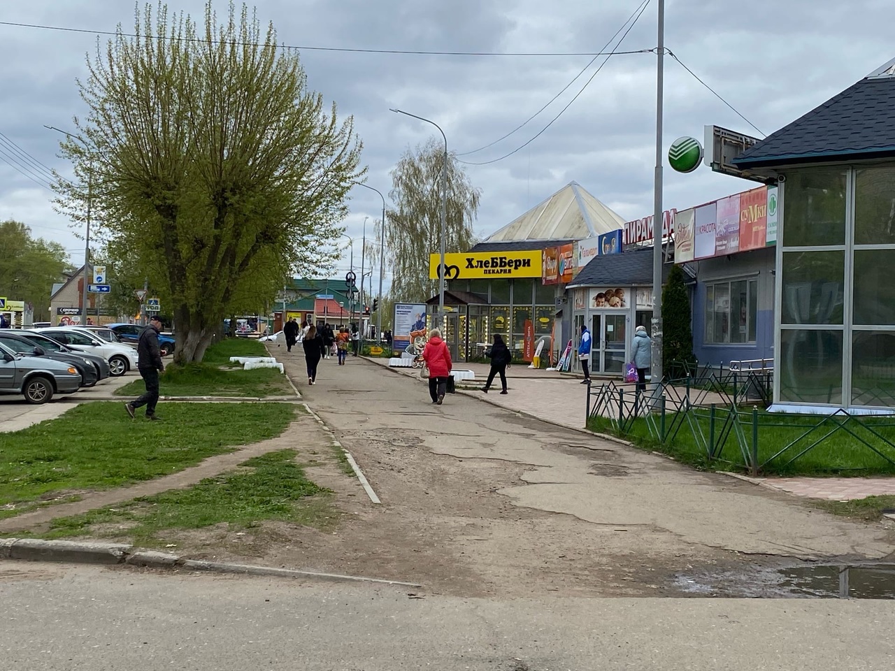 В Кировской области стоит ждать небывалую по масштабам осеннюю вспышку опасных явлений