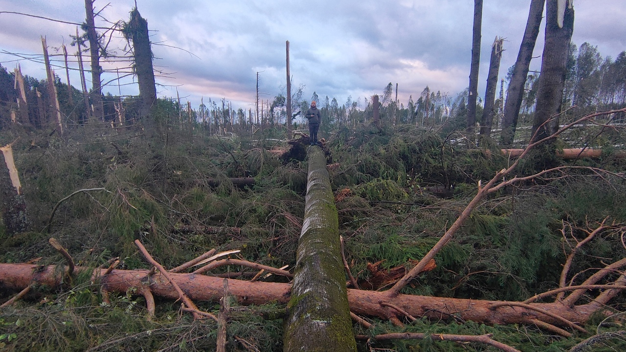Из-за смерча в Кировской области горели дома, пропало электричество и повалились деревья