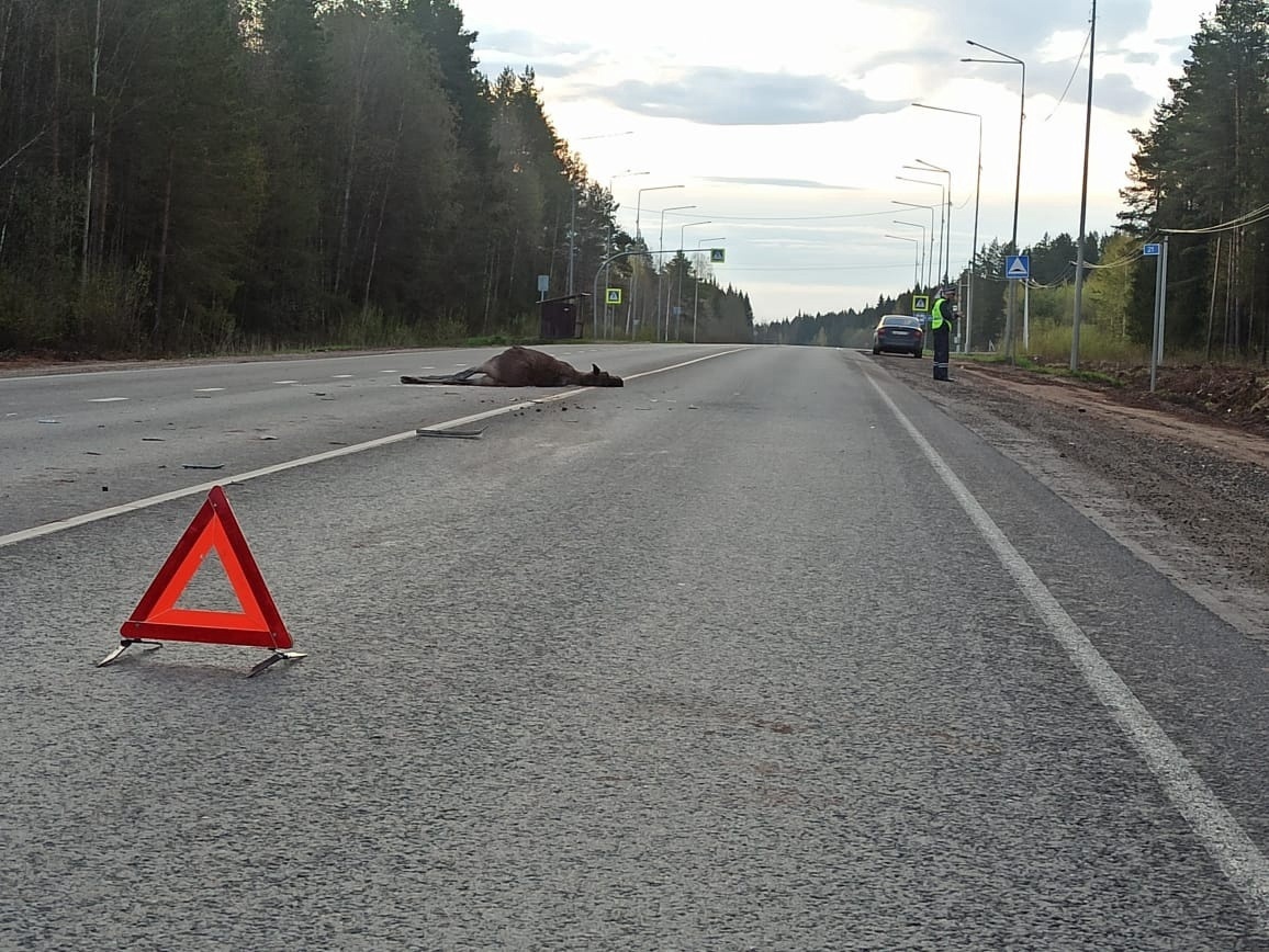 Водителей Чепецка предупреждают об опасности на дорогах