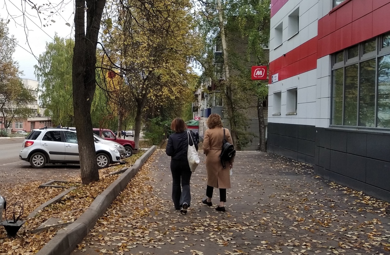 Жителям Кирово-Чепецка предстоит дождливая и ветреная рабочая неделя