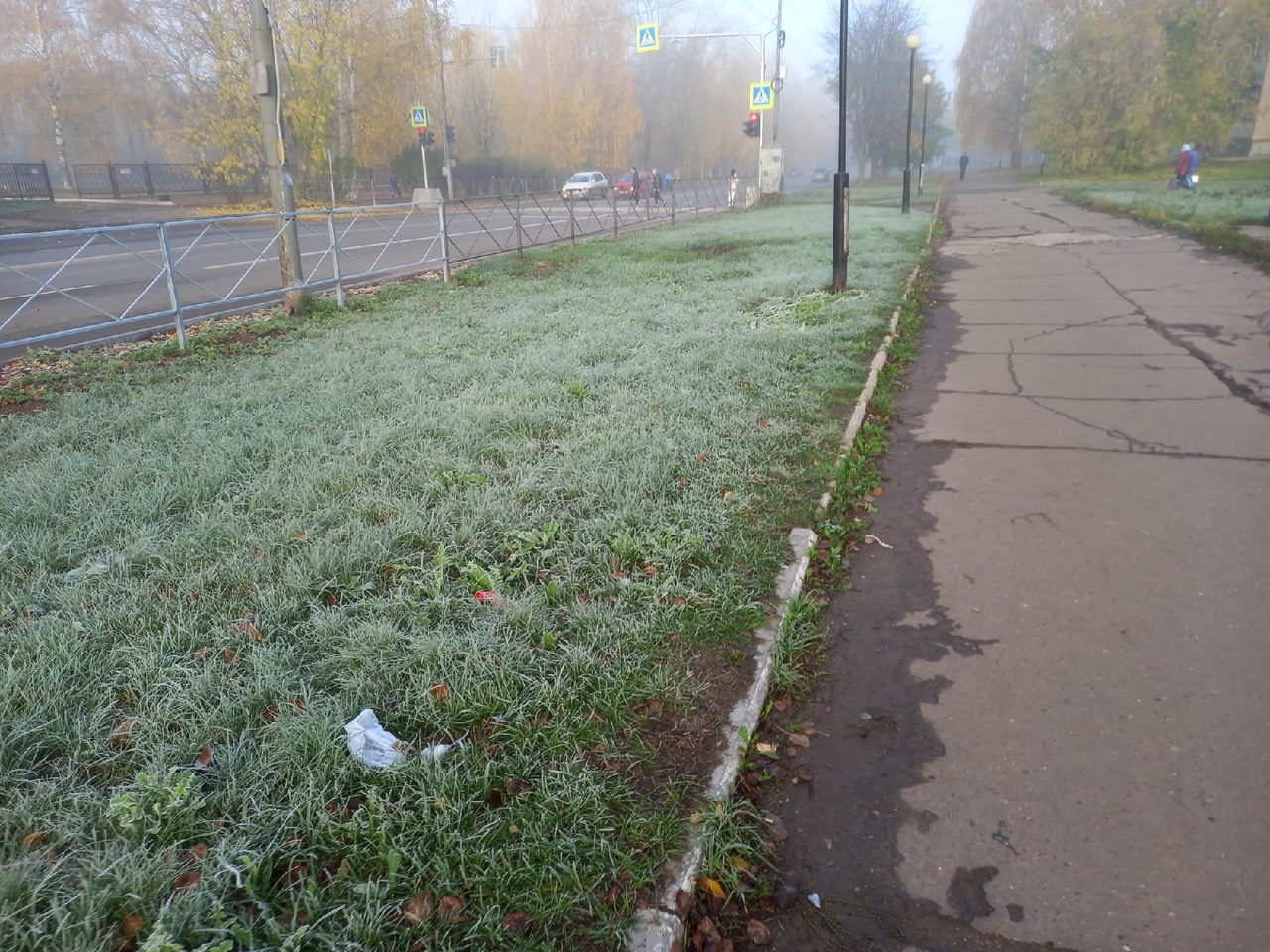 Жителей Кировской области поздняя осень еще порадует теплом и отсутствием осадков