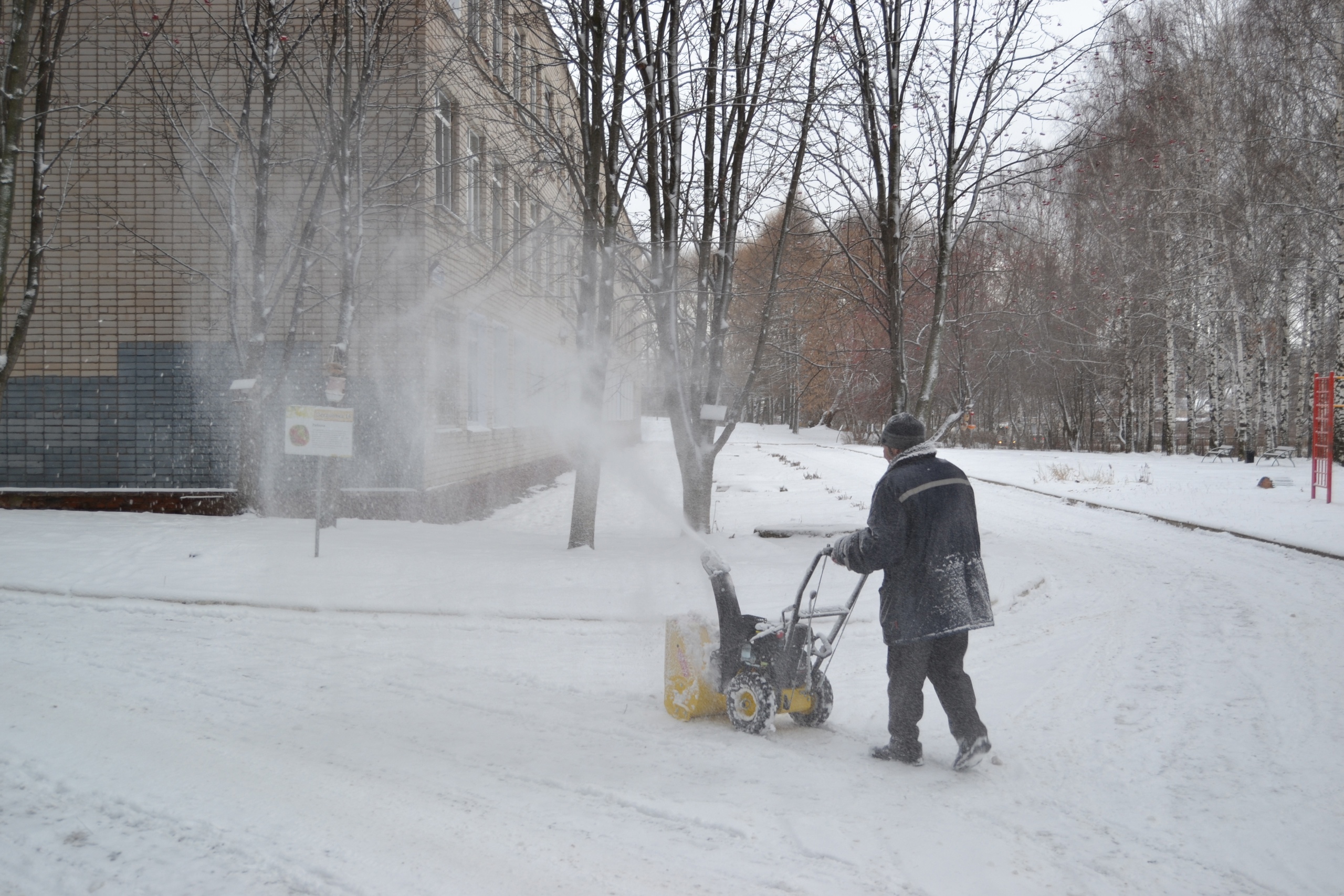Синоптики рассказали, когда в Кировской области может сформироваться снежный покров