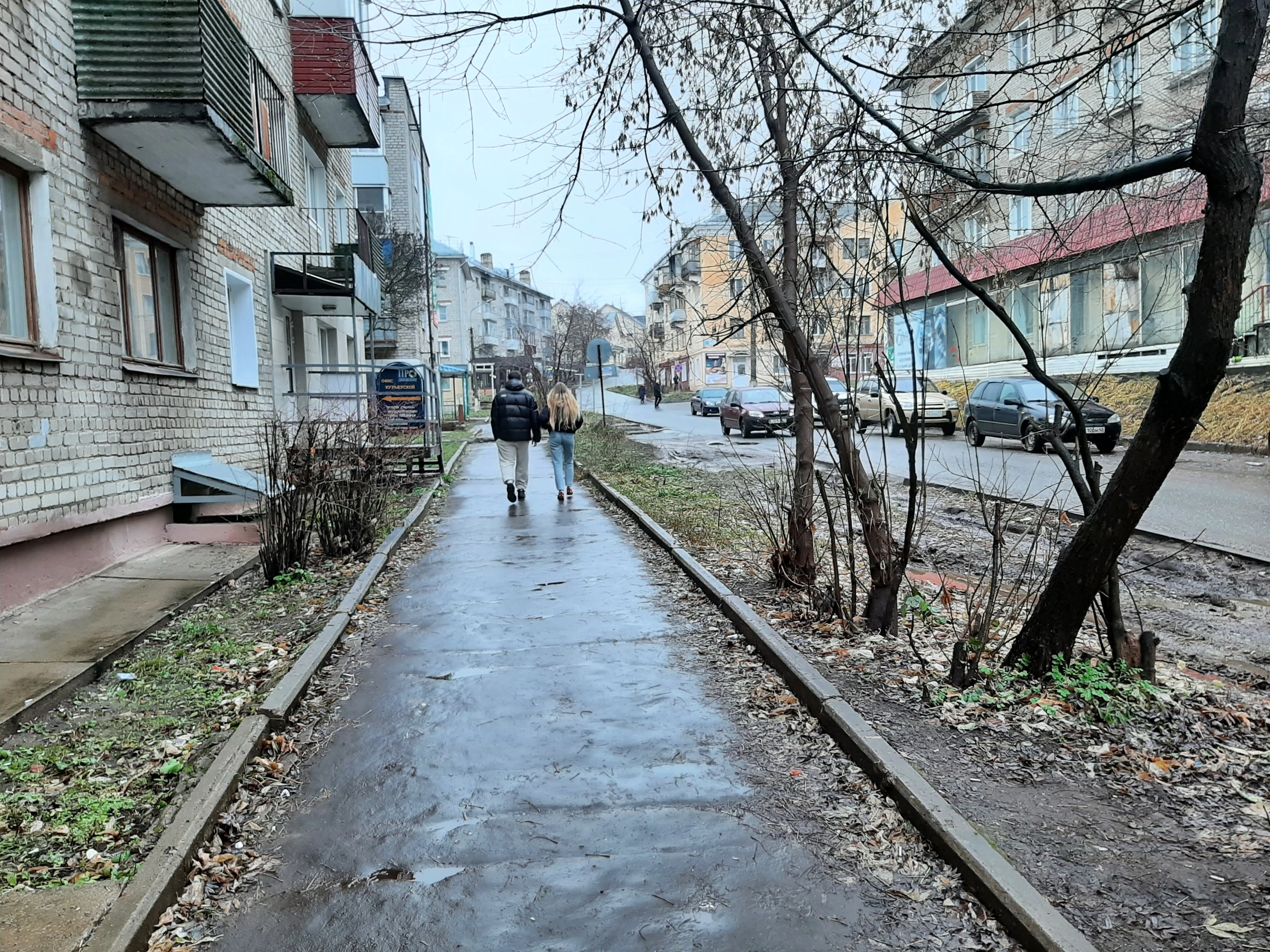 Прогноз погоды на 17 ноября: чепчан предупреждают о сильном ветре и морозах