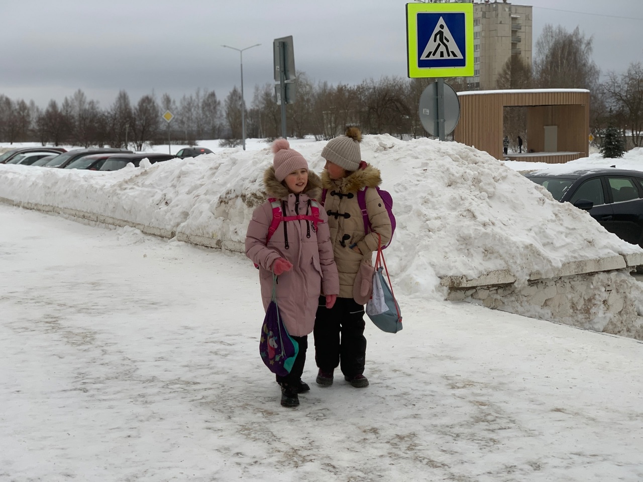 Многодетные семьи Кировской области могут получить деньги вместо земли