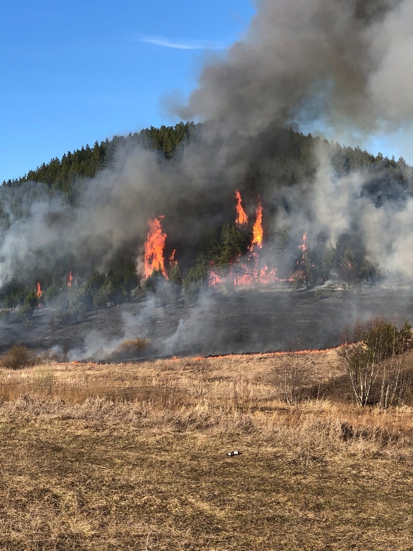 В лесах Кировской области начался пожароопасный сезон