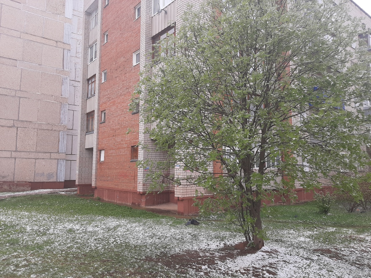 Бабье лето закончилось: в Кирово-Чепецк придут снегопады и минусовая температура