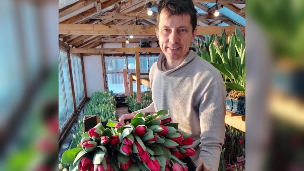 Семья из Кирово-Чепецкого района вырастила 30 тысяч тюльпанов к 8 марта 