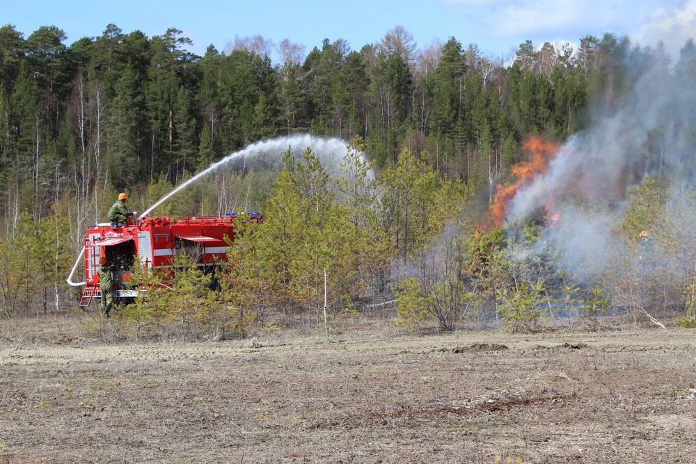 На территории Кировской области начал действовать особый противопожарный режим
