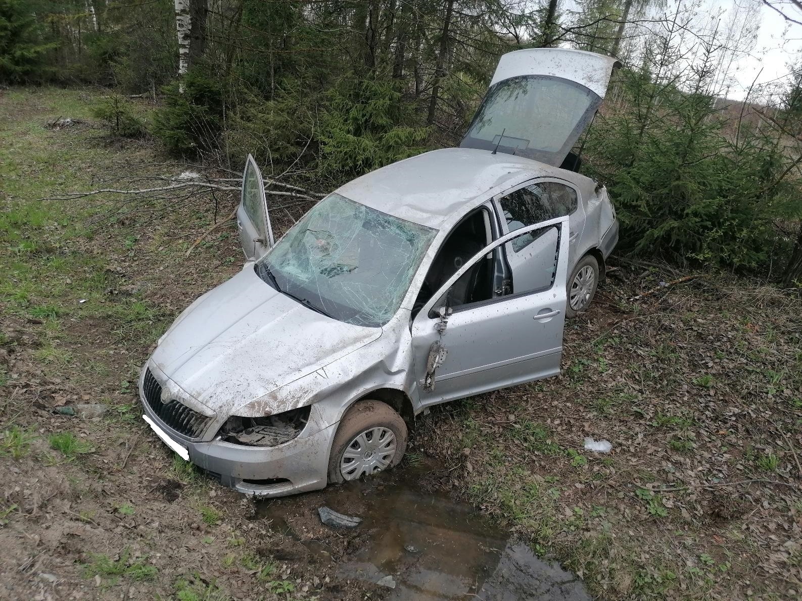 В Кирово-Чепецком районе Škoda вылетела в кювет: два человека получили травмы