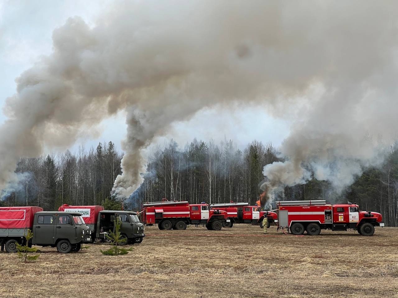 Пожароопасный сезон: 7 мая загорелся лес в Кировской области