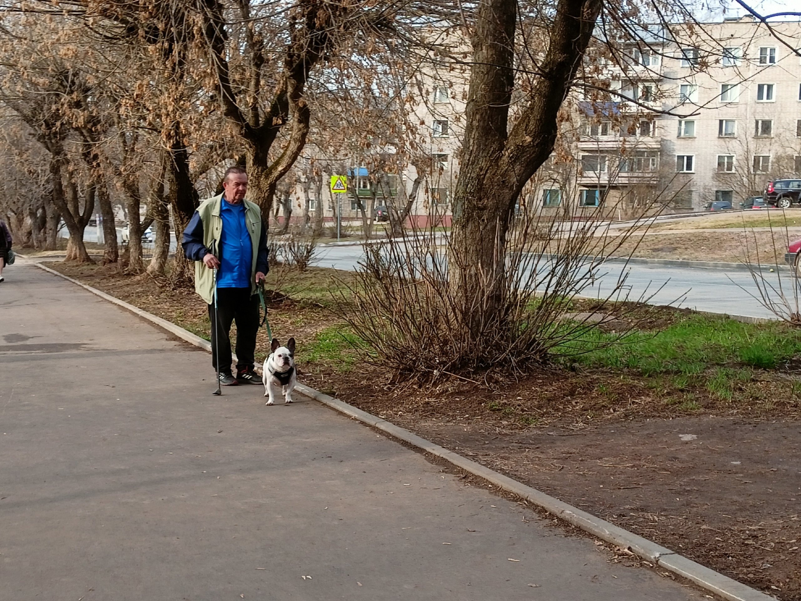 В Кирово-Чепецке скоро появится площадка для выгула собак