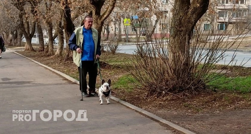В Кирово-Чепецке стало известно, когда появится новая площадка для выгула собак