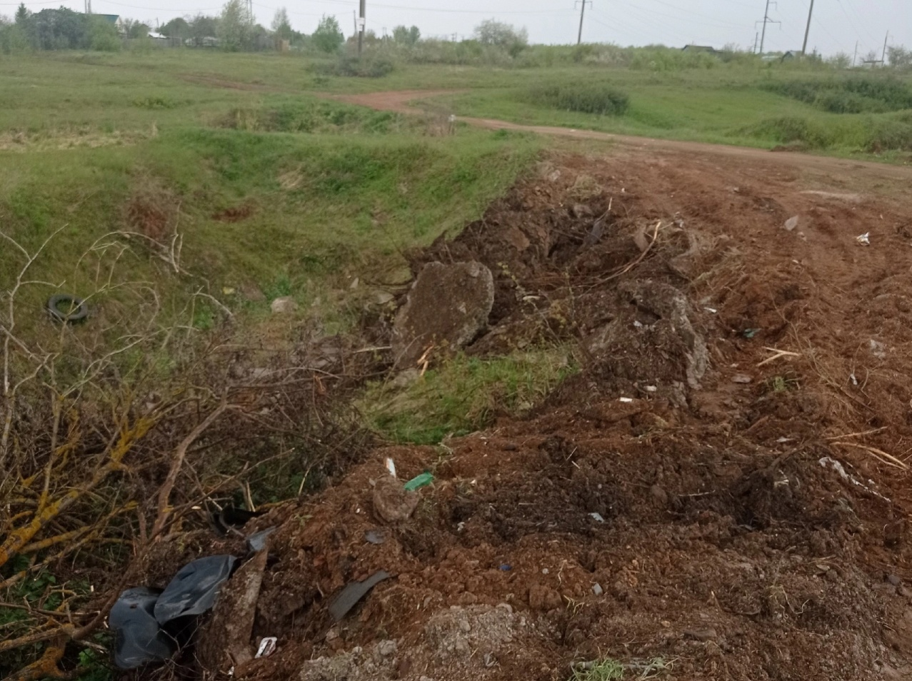 В Кирово-Чепецком районе не решили проблему со свалкой около домов 