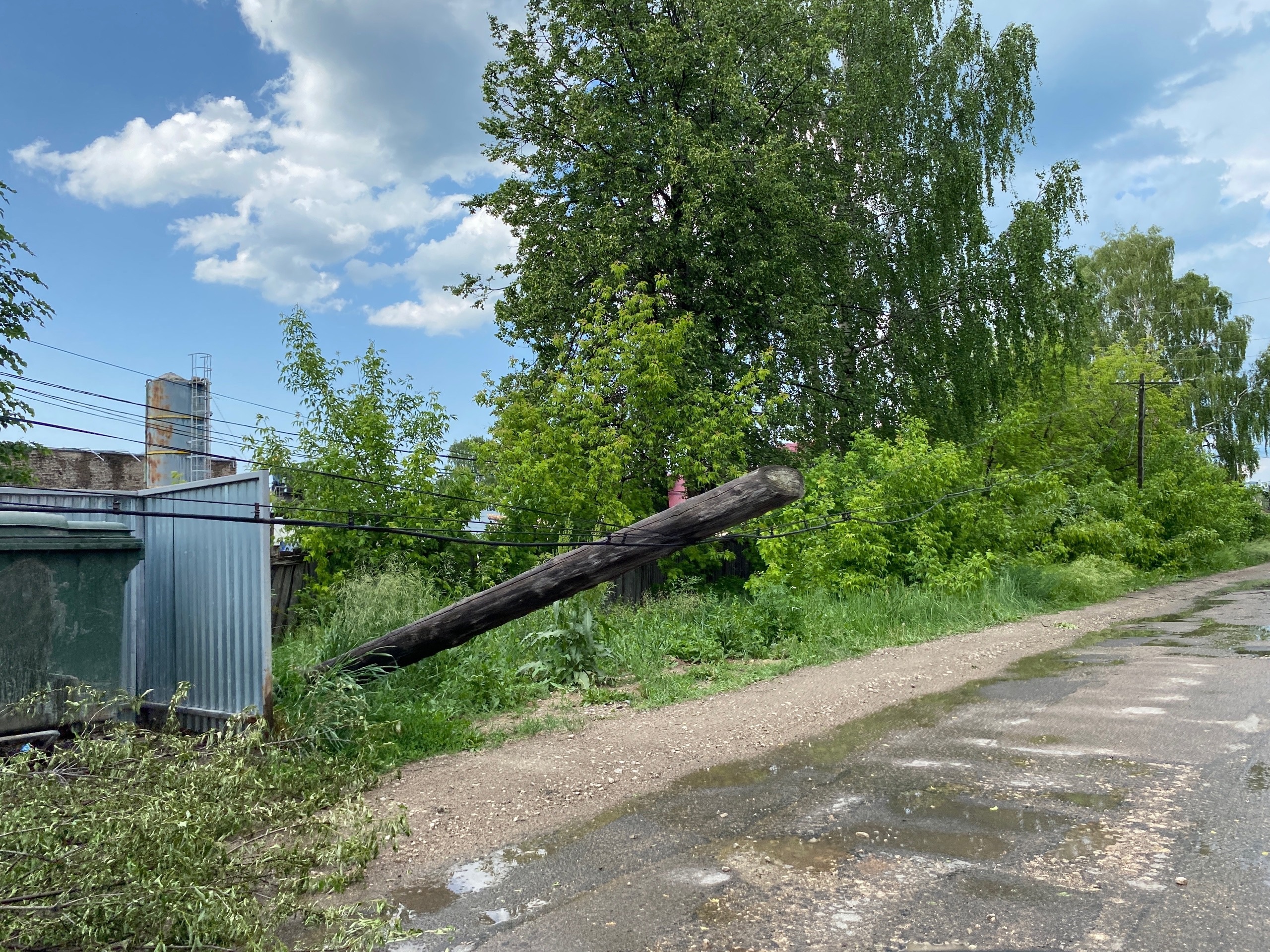В Кировской области ветер повалил деревья