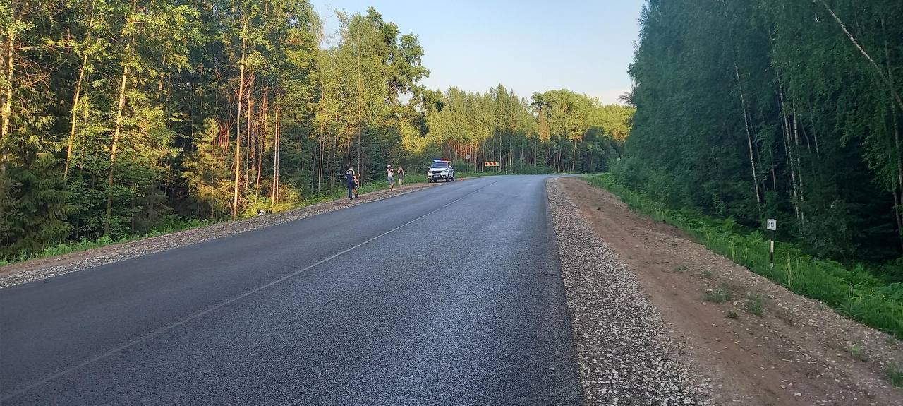 В Кирово-Чепецком районе мотоциклист вылетел с дороги и опрокинулся