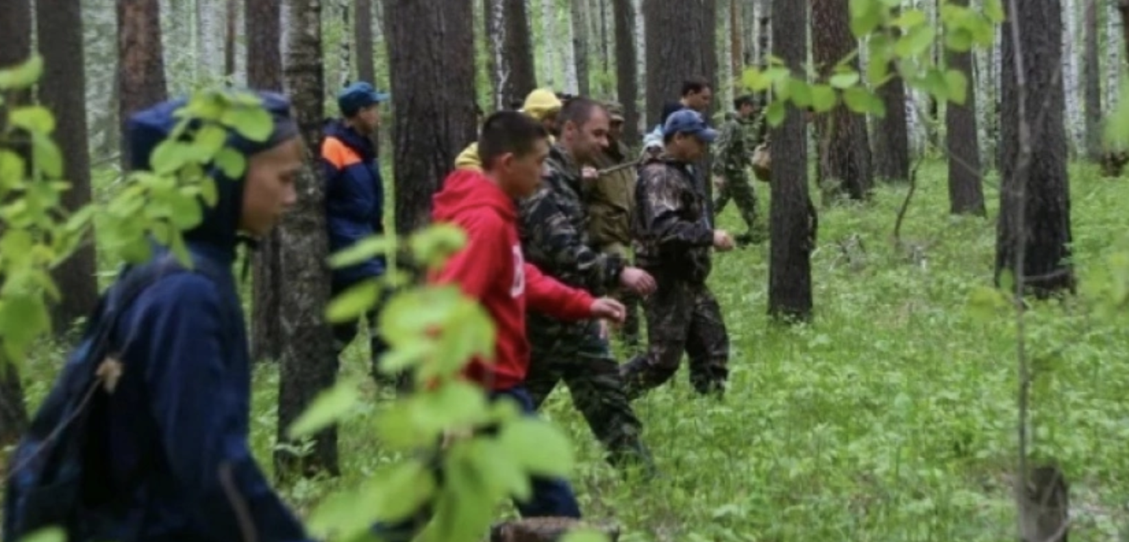 Поисковики отряда "ЛизаАлерт" сообщили о гибели потерявшегося 58-летнего чепчанина