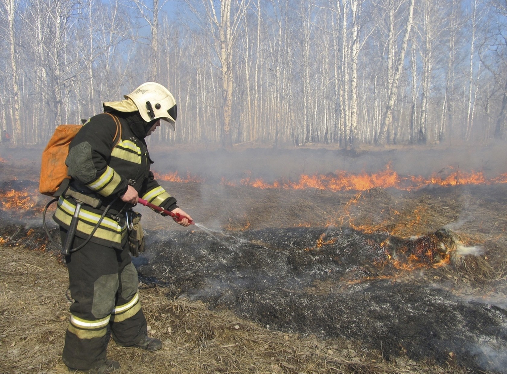 В Кировской области наблюдается повышенная пожароопасность в лесах