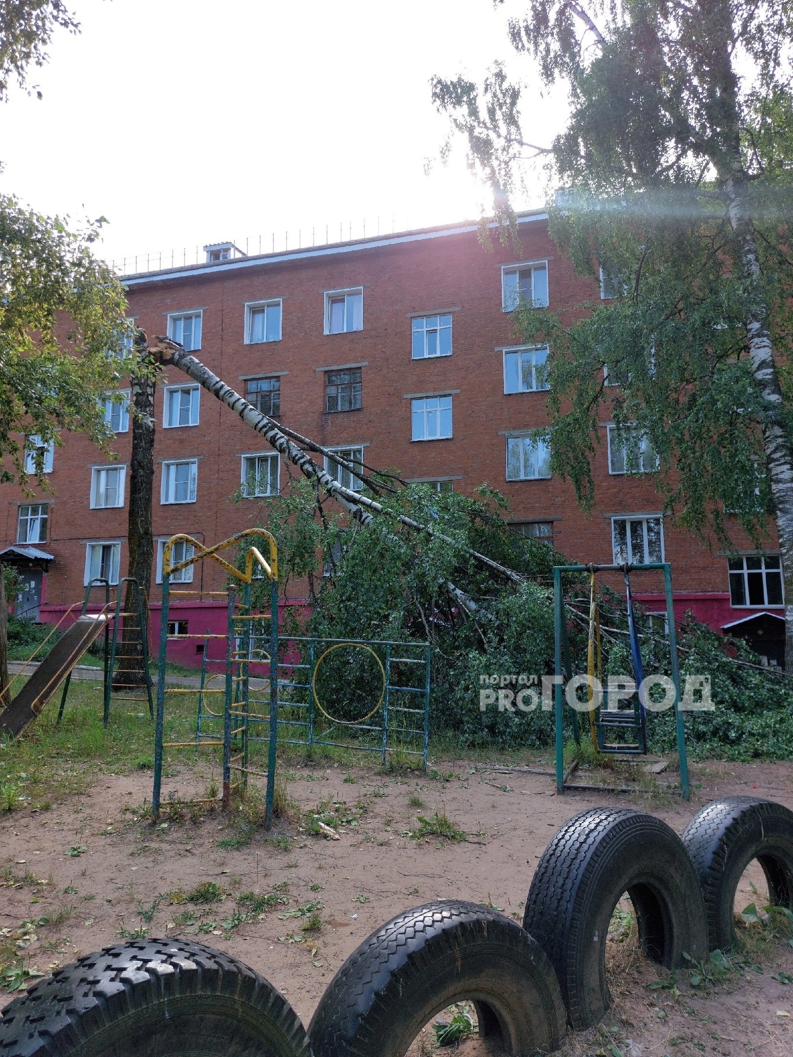 В Кирово-Чепецке в одном из дворов сломалось дерево после небольшого дождя