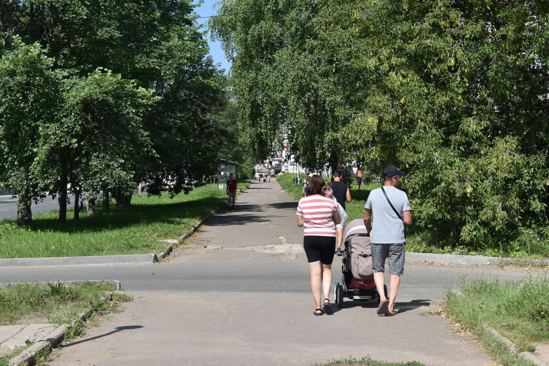 В Кировской области жара сбавит обороты к концу второй июльской недели