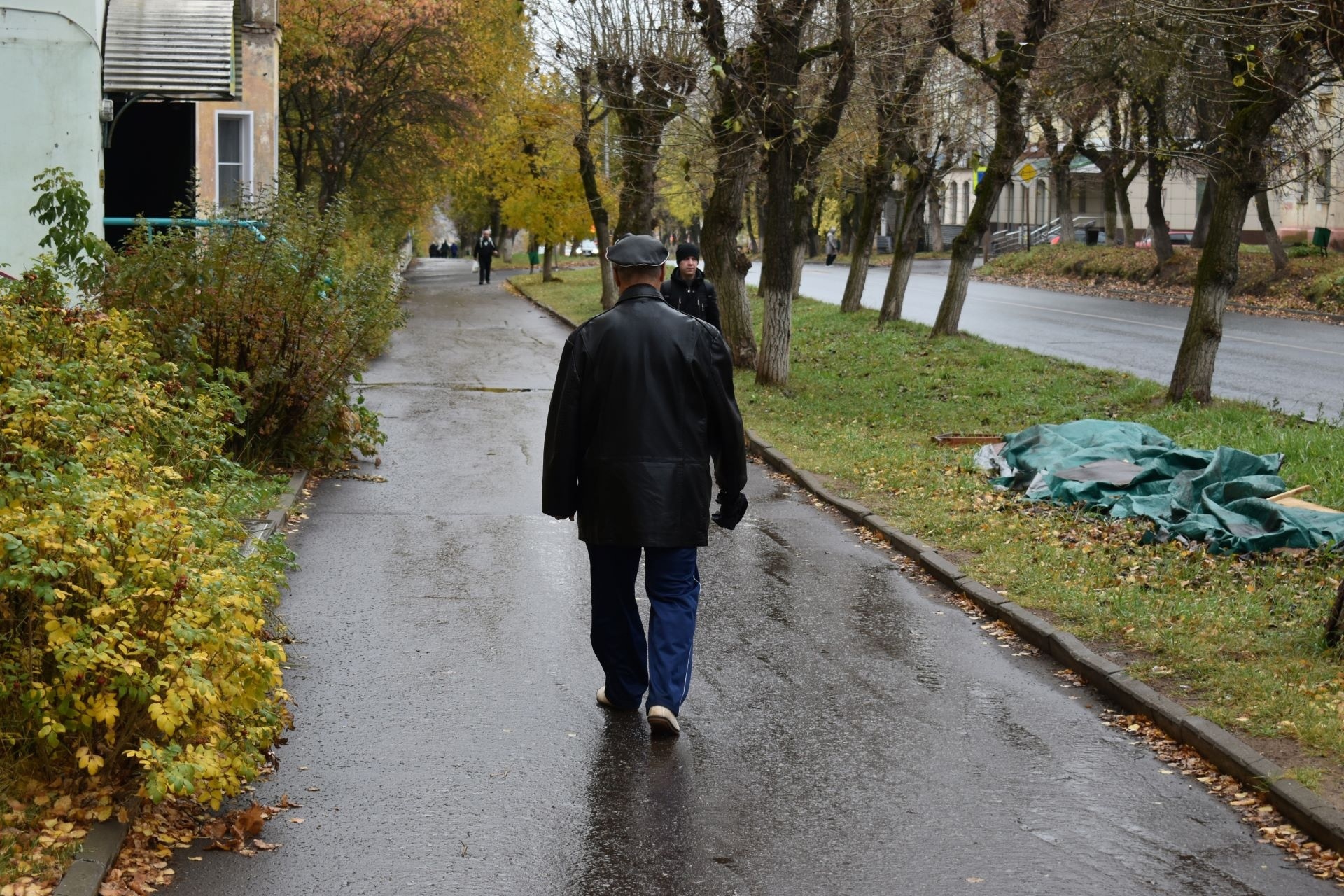 Жителей Кировской области предупреждают о дождях и грозах