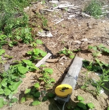 В Кирово-Чепецком районе нашли незаконную свалку, угрожающую экологии
