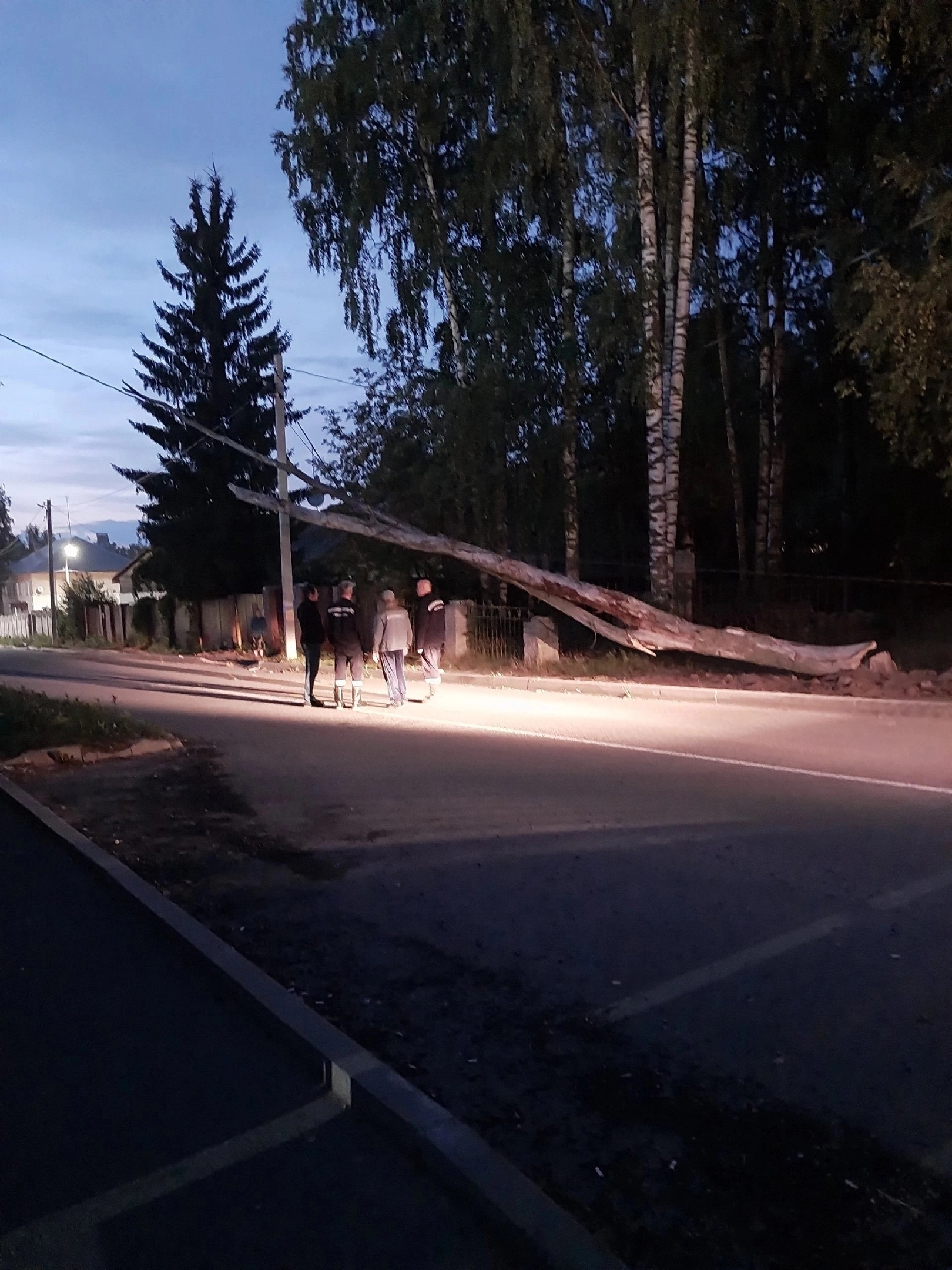 В Кирово-Чепецке вновь упало дерево