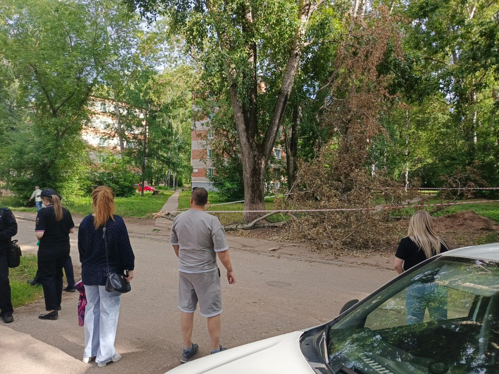 4-летнюю девочку убило веткой: чепчане рассказали о ЧП главному следователю страны