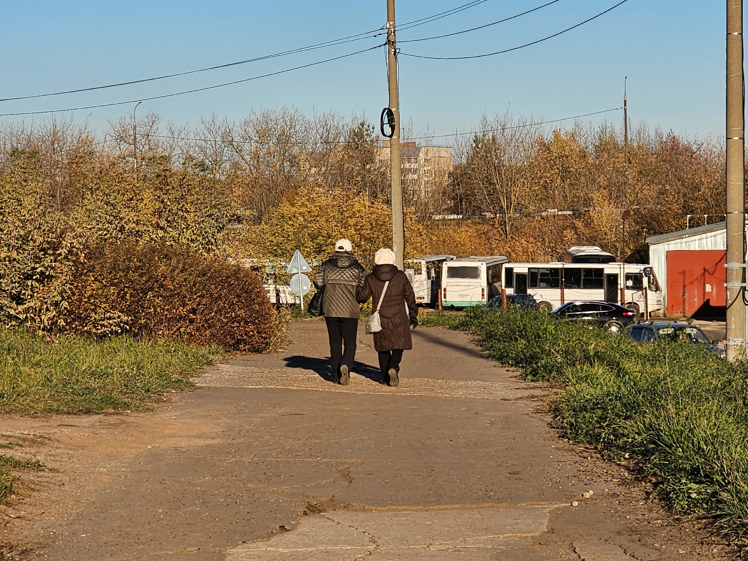 Змея осчастливит: Павел Глоба назвал три знака зодиака, которым символ года подарит шикарный 2025