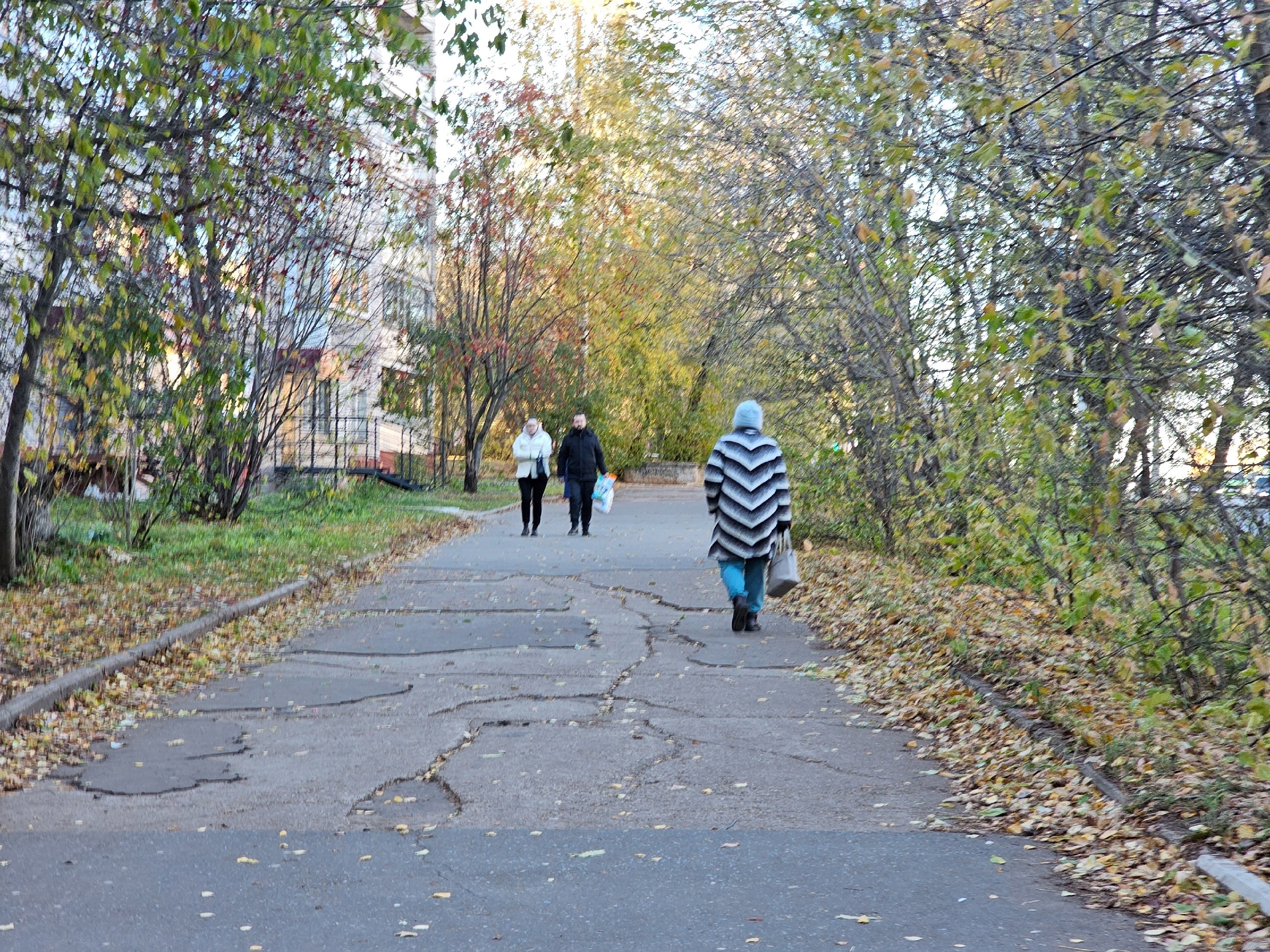 Указ подписан: пенсионеров, у которых есть непрерывный стаж работы 10-15 лет, ждет приятный бонус с 23 октября