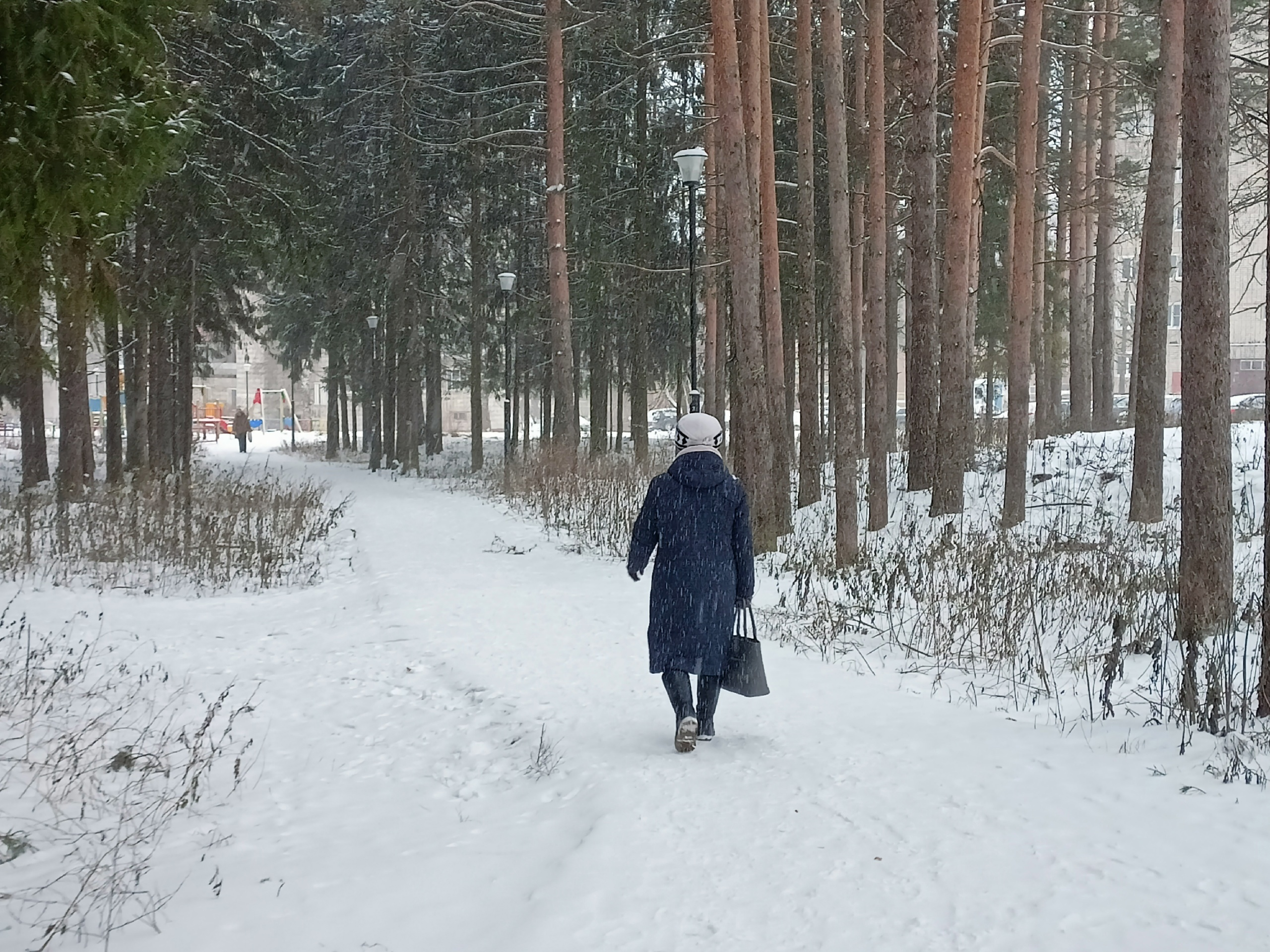 "С 4 ноября начнется то, чего не было с 1820 года": синоптики рассказали, к чему готовиться