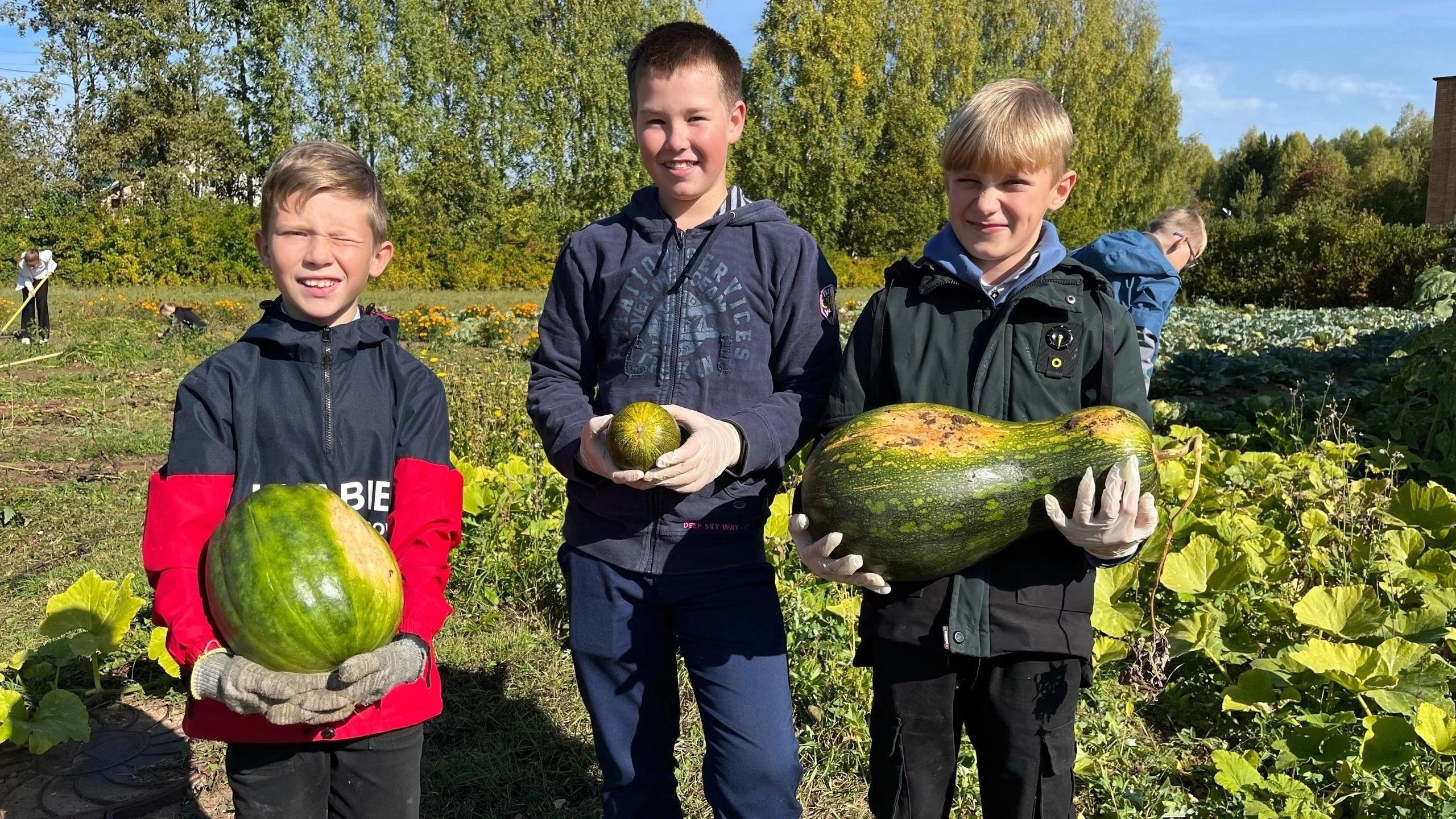 Школьники из Кирово-Чепецкого района представили лучший урожай и победили в областном конкурсе